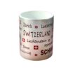 LS-CC01-SW001-03
